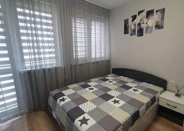 Apartment Voivoda *